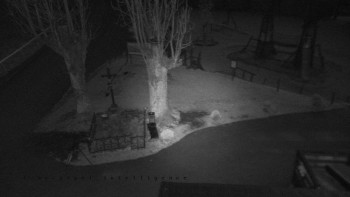 Snímek    31.10.2025 v 17:05