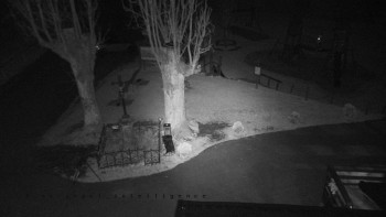 Snímek    31.10.2025 v 17:25