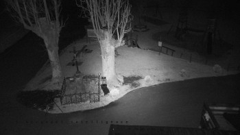 Snímek    31.10.2025 v 21:31