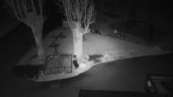 Snímek    31.10.2025 v 22:31