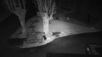 Snímek    31.10.2025 v 23:05