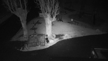 Snímek    1.11.2025 v 04:20