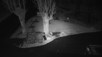 Snímek    1.11.2025 v 05:31