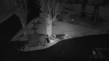 Snímek    1.11.2025 v 05:46