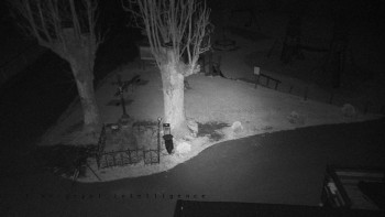 Snímek    2.11.2025 v 20:01