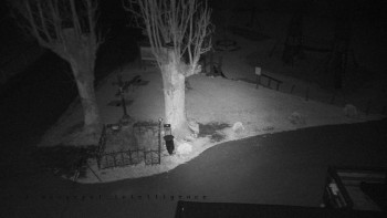 Snímek    2.11.2025 v 21:46