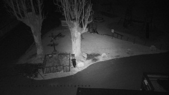 Snímek    2.11.2025 v 22:01