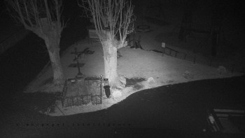 Snímek    2.11.2025 v 23:01