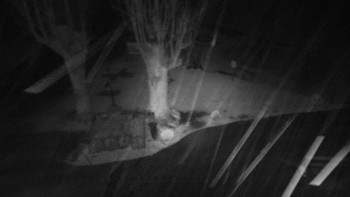 Snímek    3.11.2025 v 01:46