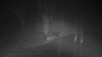 Snímek    3.11.2025 v 02:05