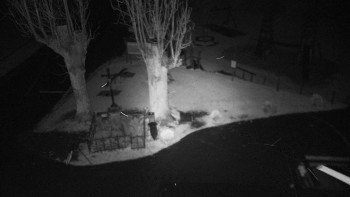 Snímek    3.11.2025 v 02:31