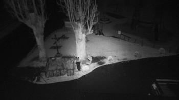 Snímek    3.11.2025 v 02:50