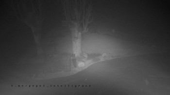 Snímek    3.11.2025 v 04:31