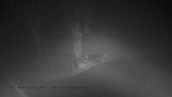 Snímek    3.11.2025 v 04:50