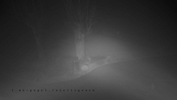 Snímek    3.11.2025 v 05:10