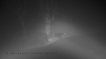 Snímek    3.11.2025 v 05:20