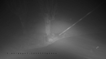 Snímek    3.11.2025 v 05:31