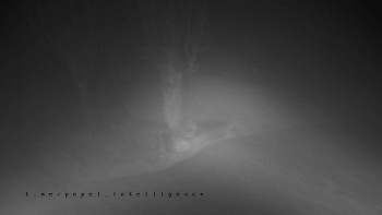 Snímek    3.11.2025 v 05:46