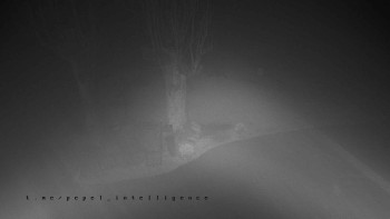 Snímek    3.11.2025 v 05:50