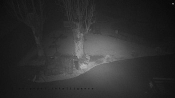 Snímek    3.11.2025 v 18:10