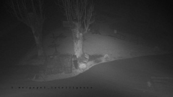 Snímek    3.11.2025 v 19:20