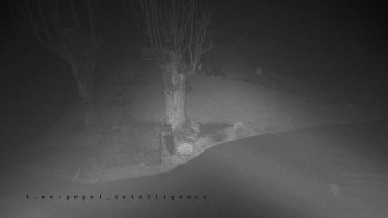 Snímek    3.11.2025 v 19:46