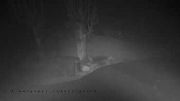 Snímek    3.11.2025 v 20:16