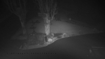 Snímek    3.11.2025 v 20:46