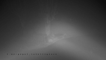 Snímek    3.11.2025 v 21:01