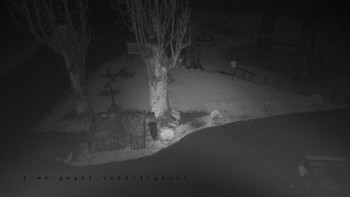 Snímek    4.11.2025 v 00:20