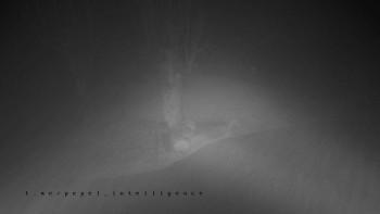 Snímek    4.11.2025 v 00:50