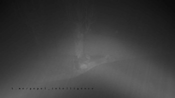 Snímek    4.11.2025 v 00:55