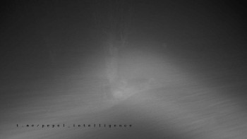 Snímek    4.11.2025 v 01:16