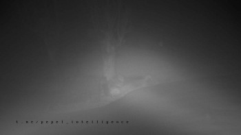 Snímek    4.11.2025 v 01:40