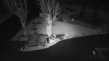 Snímek    4.11.2025 v 02:31