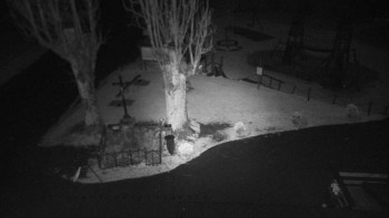 Snímek    4.11.2025 v 02:55