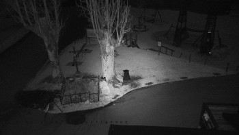 Snímek 5.11.2025 v 00:31