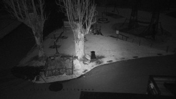 Snímek 5.11.2025 v 03:10