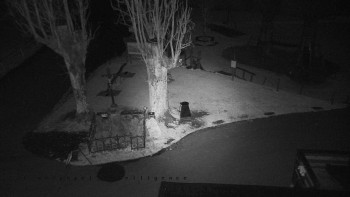 Snímek 5.11.2025 v 05:40