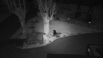 Snímek 6.11.2025 v 02:20