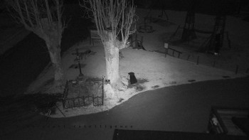 Snímek 6.11.2025 v 03:16