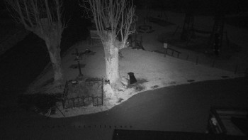 Snímek 6.11.2025 v 05:31