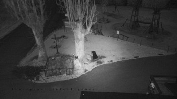 Snímek 6.11.2025 v 05:55