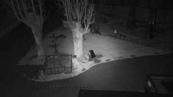 Snímek 6.11.2025 v 19:50