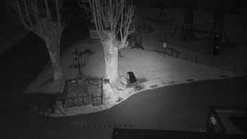 Snímek 6.11.2025 v 21:10