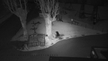 Snímek 6.11.2025 v 21:50