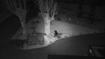 Snímek 6.11.2025 v 22:55