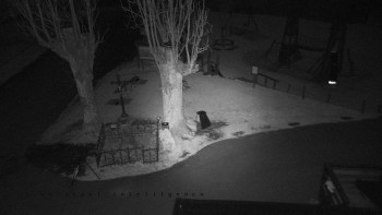 Snímek 7.11.2025 v 03:05