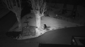 Snímek 7.11.2025 v 04:25