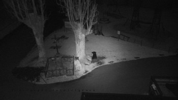 Snímek 7.11.2025 v 05:46